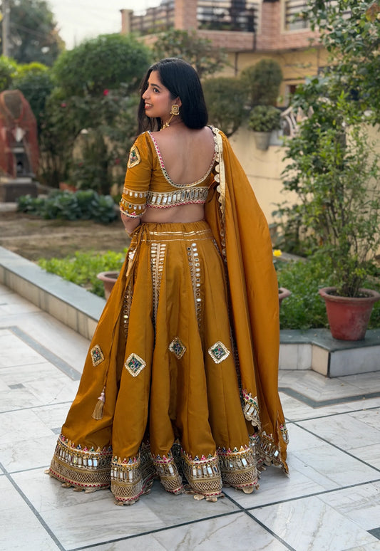 Zarika Mirrorwork Ghera Lehenga